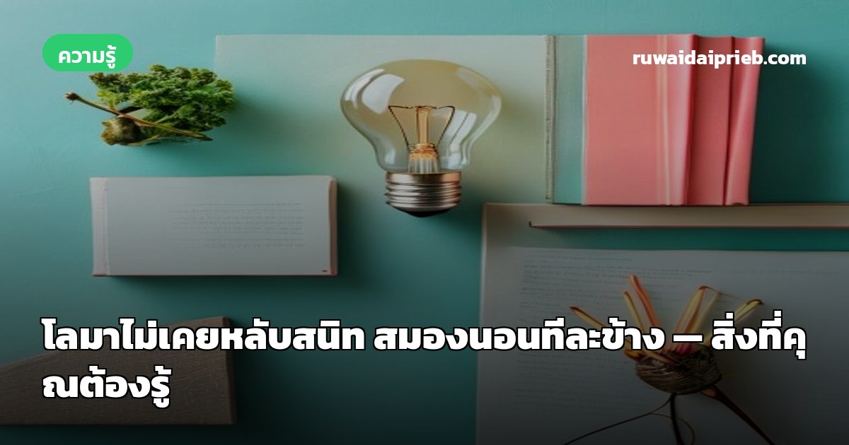 โลมาไม่เคยหลับสนิท สมองนอนทีละข้าง — สิ่งที่คุณต้องรู้
