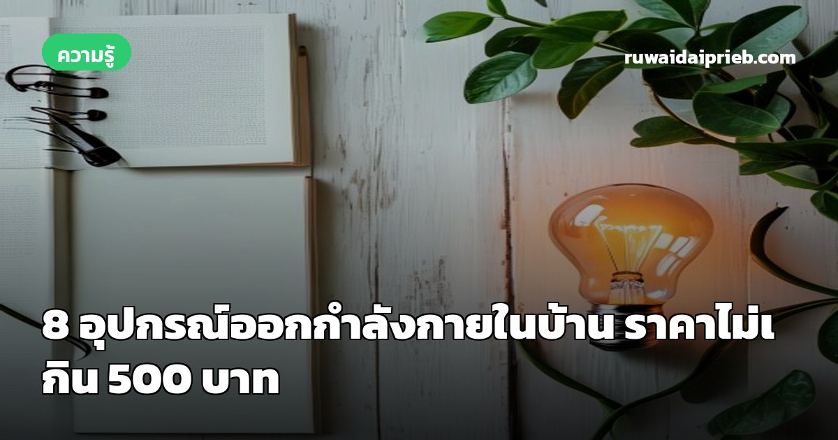 8 อุปกรณ์ออกกำลังกายในบ้าน ราคาไม่เกิน 500 บาท