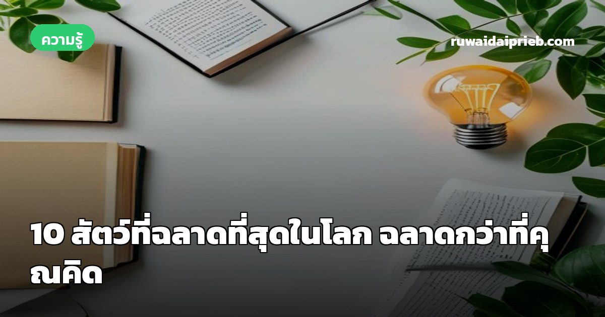 10 สัตว์ที่ฉลาดที่สุดในโลก ฉลาดกว่าที่คุณคิด