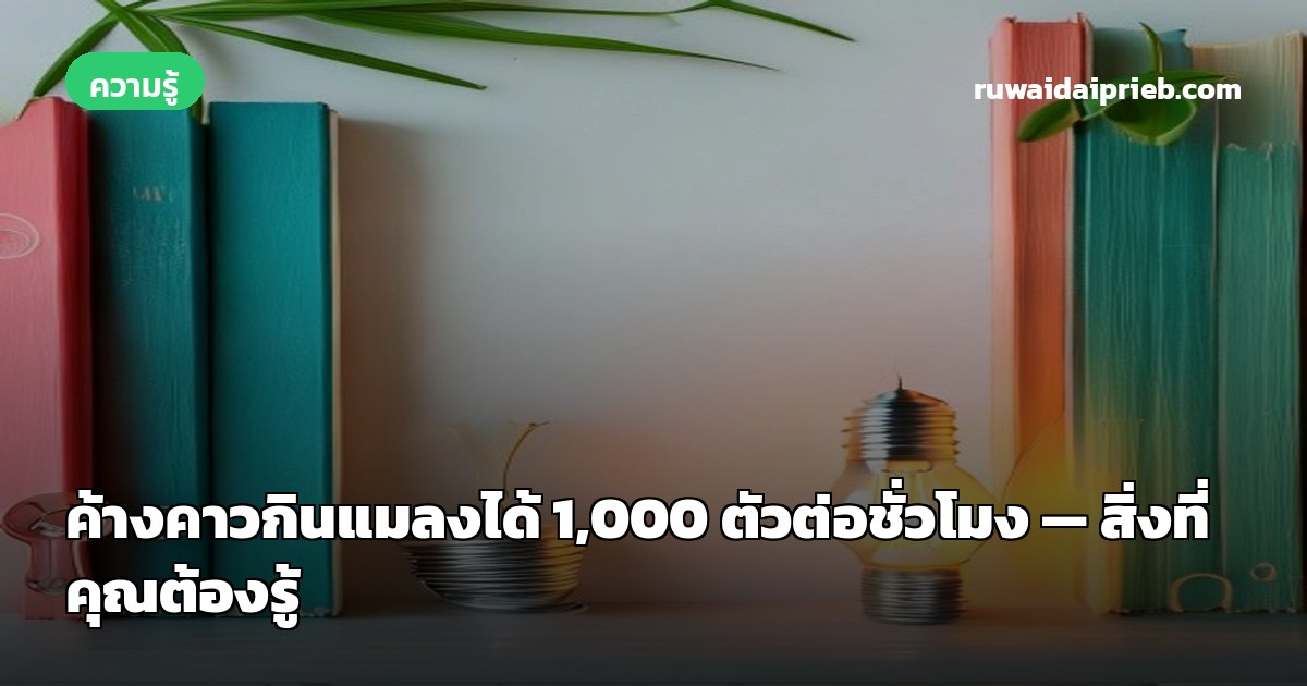 ค้างคาวกินแมลงได้ 1,000 ตัวต่อชั่วโมง — สิ่งที่คุณต้องรู้