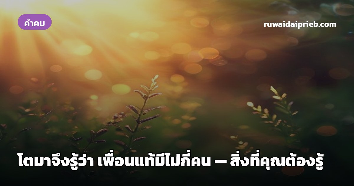 โตมาจึงรู้ว่า เพื่อนแท้มีไม่กี่คน — สิ่งที่คุณต้องรู้