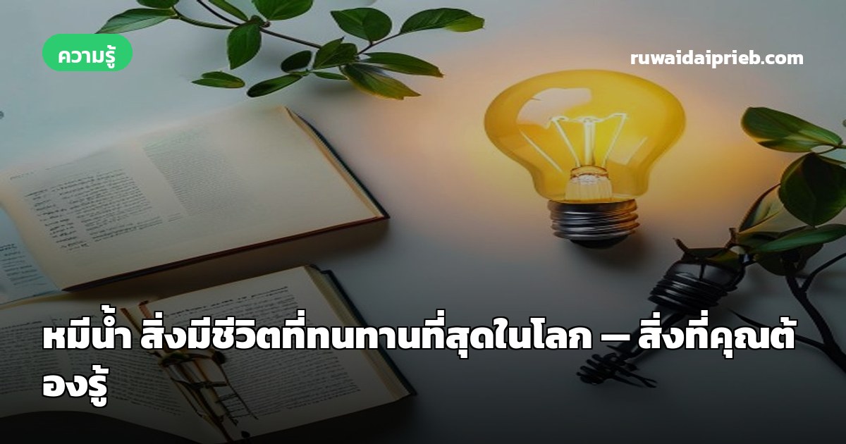 หมีน้ำ สิ่งมีชีวิตที่ทนทานที่สุดในโลก — สิ่งที่คุณต้องรู้