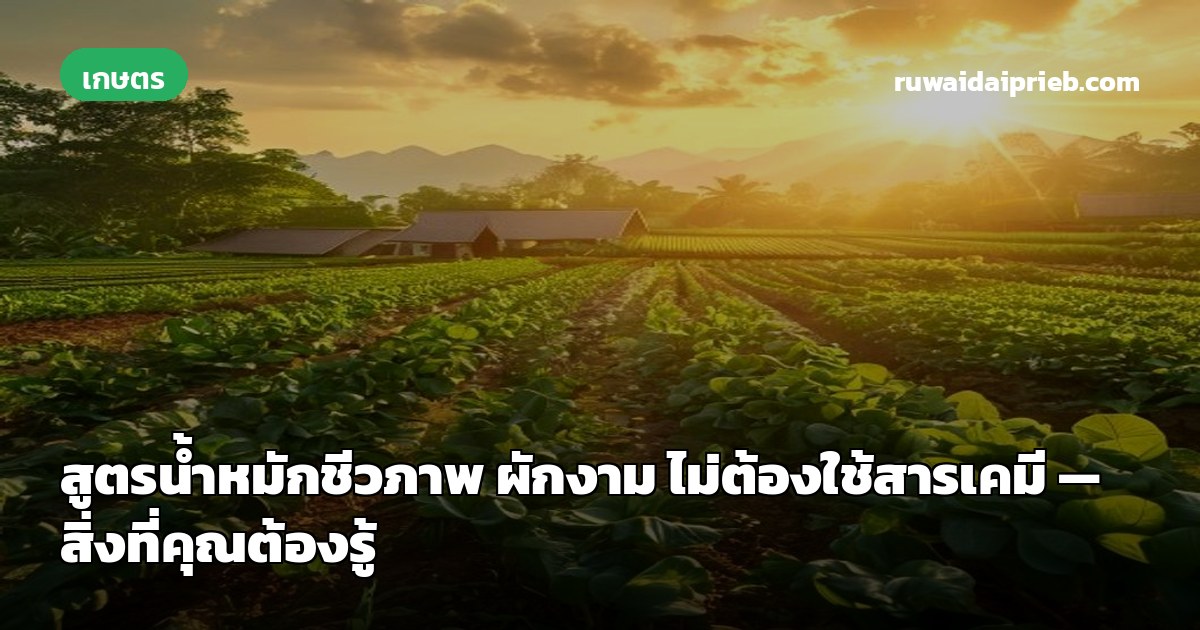สูตรน้ำหมักชีวภาพ ผักงาม ไม่ต้องใช้สารเคมี — สิ่งที่คุณต้องรู้
