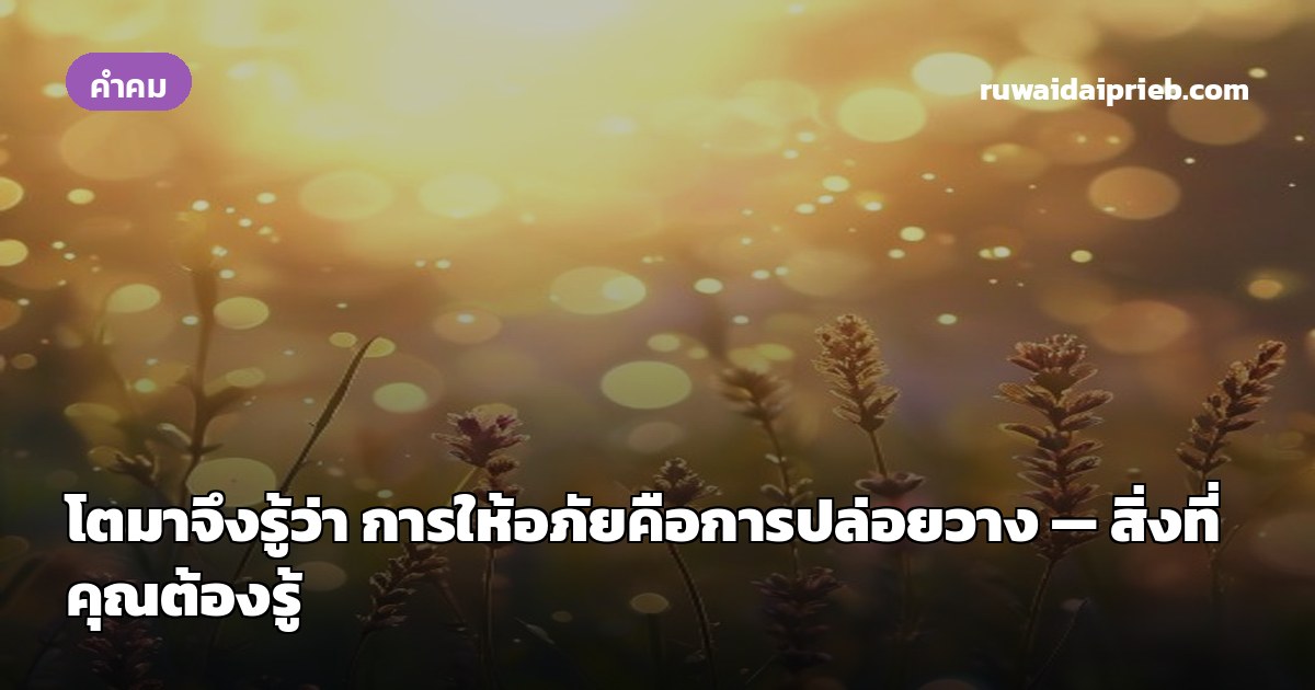 โตมาจึงรู้ว่า การให้อภัยคือการปล่อยวาง — สิ่งที่คุณต้องรู้
