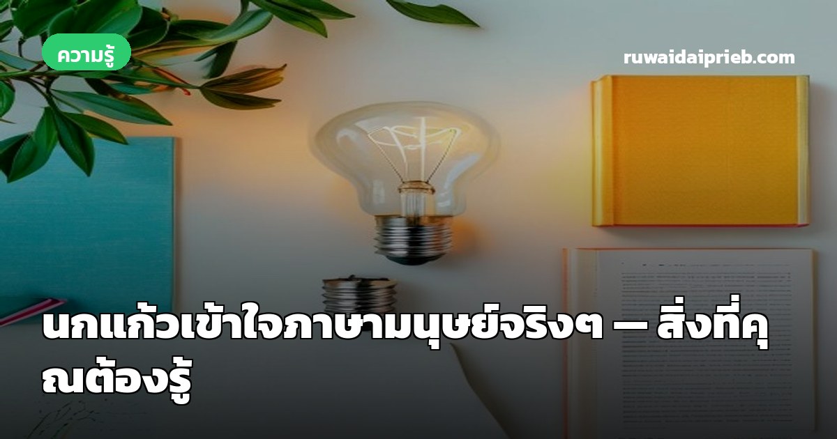 นกแก้วเข้าใจภาษามนุษย์จริงๆ — สิ่งที่คุณต้องรู้
