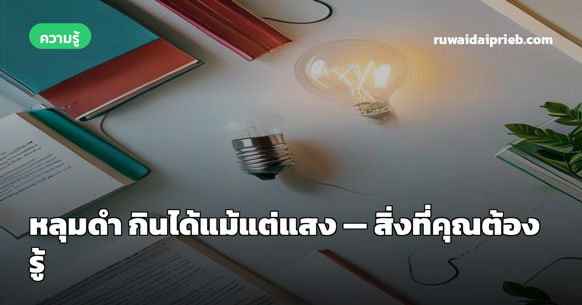 หลุมดำ กินได้แม้แต่แสง — สิ่งที่คุณต้องรู้