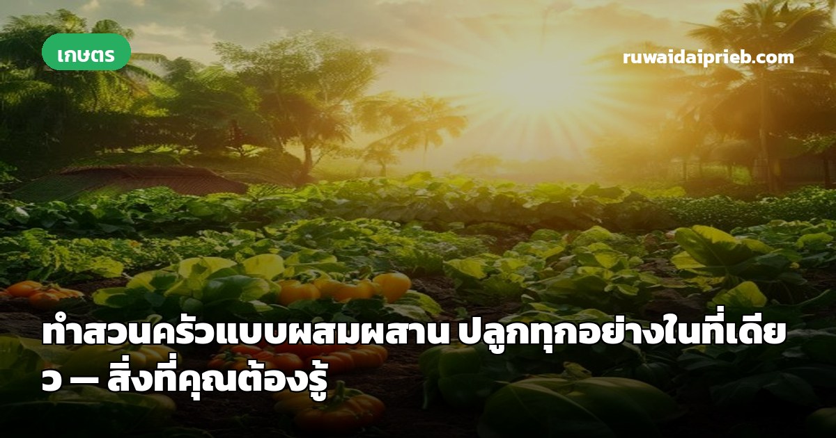 ทำสวนครัวแบบผสมผสาน ปลูกทุกอย่างในที่เดียว — สิ่งที่คุณต้องรู้