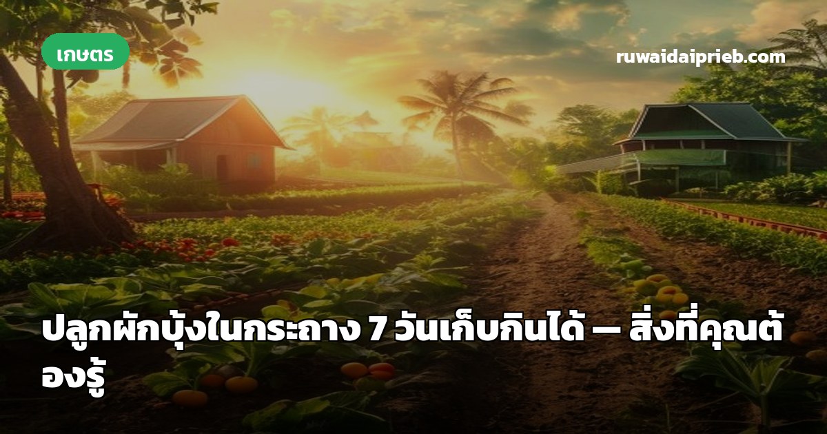 ปลูกผักบุ้งในกระถาง 7 วันเก็บกินได้ — สิ่งที่คุณต้องรู้