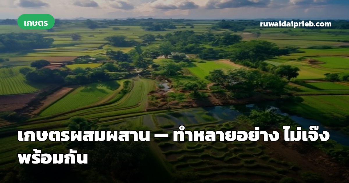 เกษตรผสมผสาน — ทำหลายอย่าง ไม่เจ๊งพร้อมกัน