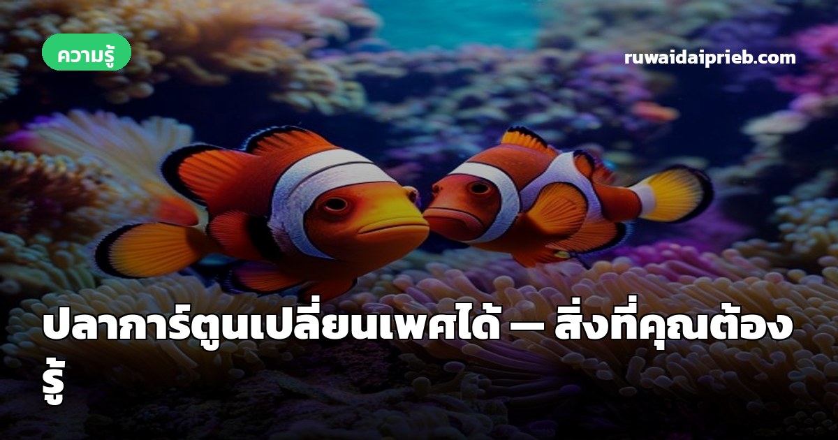 ปลาการ์ตูนเปลี่ยนเพศได้ — สิ่งที่คุณต้องรู้