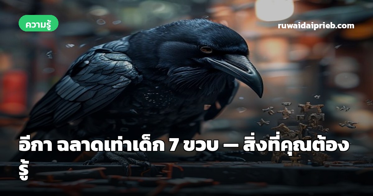 อีกา ฉลาดเท่าเด็ก 7 ขวบ — สิ่งที่คุณต้องรู้