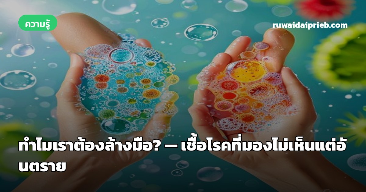 ทำไมเราต้องล้างมือ? — เชื้อโรคที่มองไม่เห็นแต่อันตราย