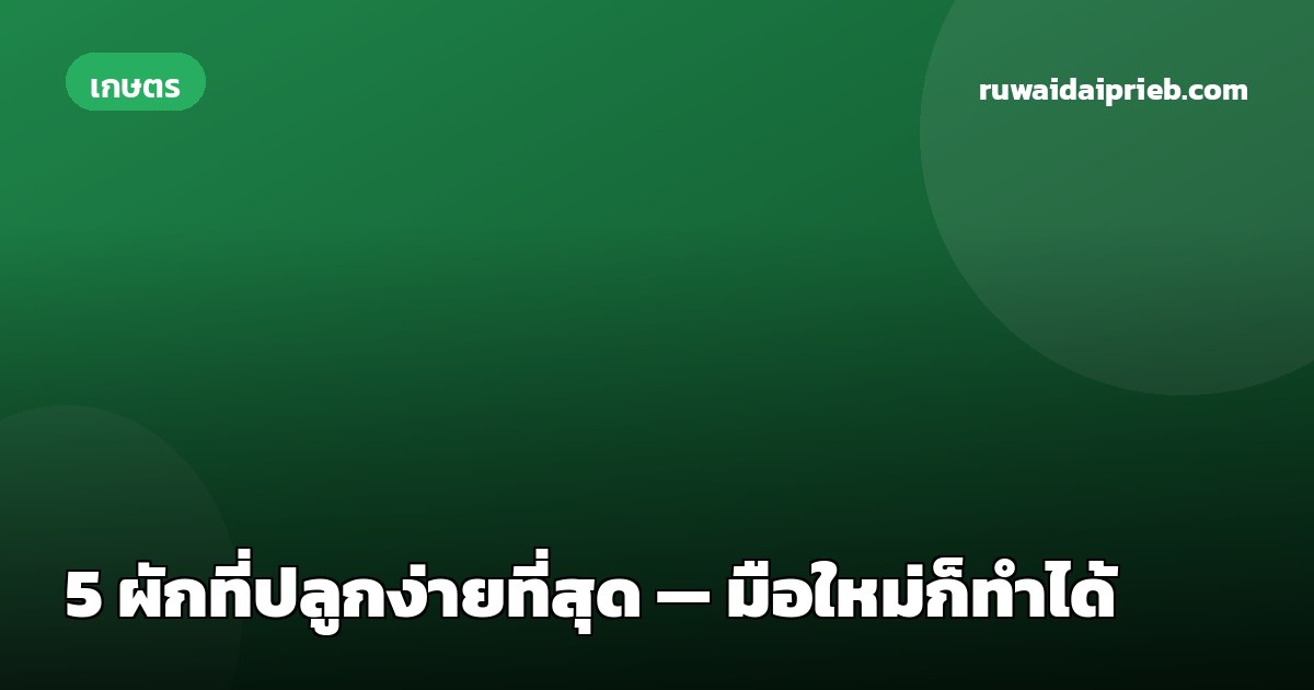 5 ผักที่ปลูกง่ายที่สุด — มือใหม่ก็ทำได้