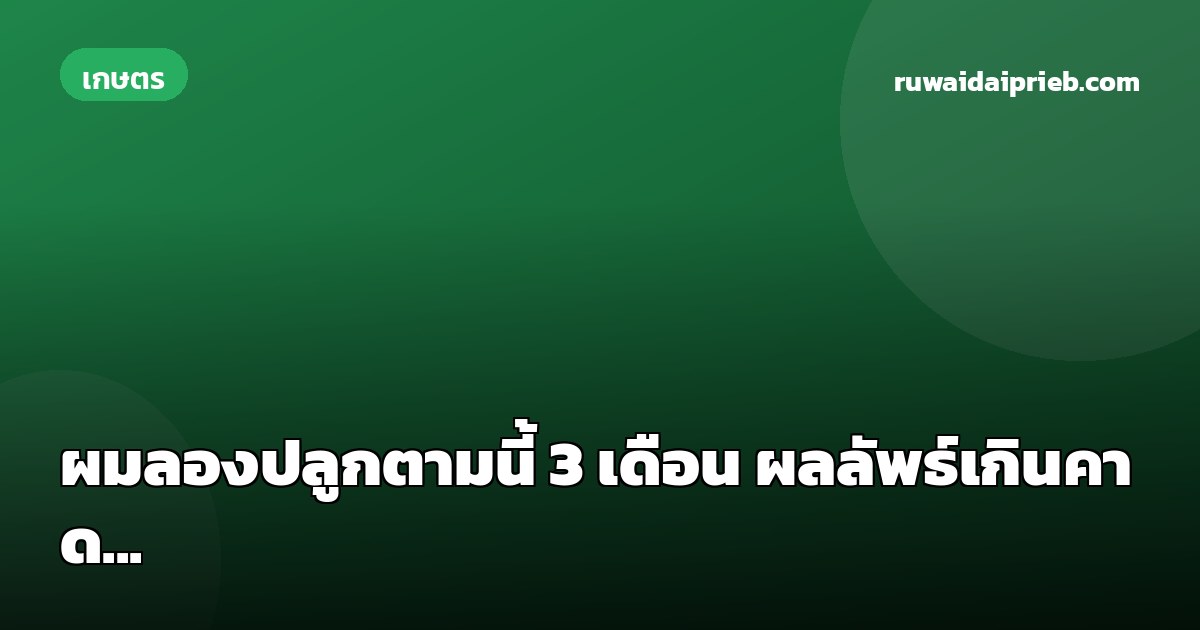 ผมลองปลูกตามนี้ 3 เดือน ผลลัพธ์เกินคาด...