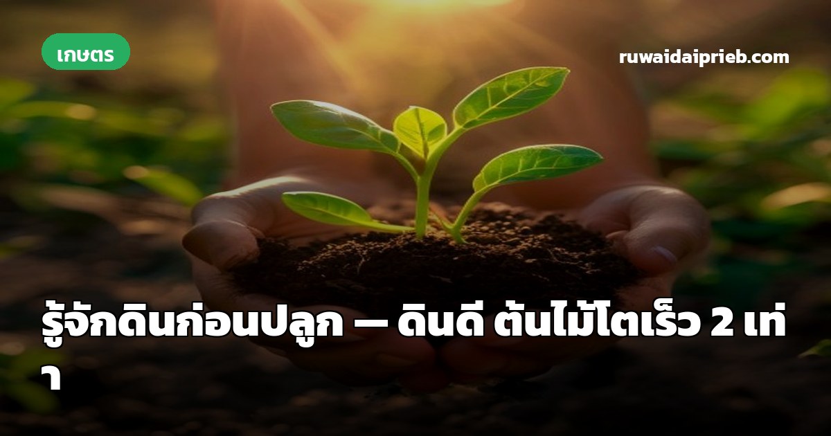 รู้จักดินก่อนปลูก — ดินดี ต้นไม้โตเร็ว 2 เท่า