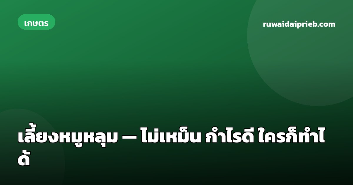 เลี้ยงหมูหลุม — ไม่เหม็น กำไรดี ใครก็ทำได้