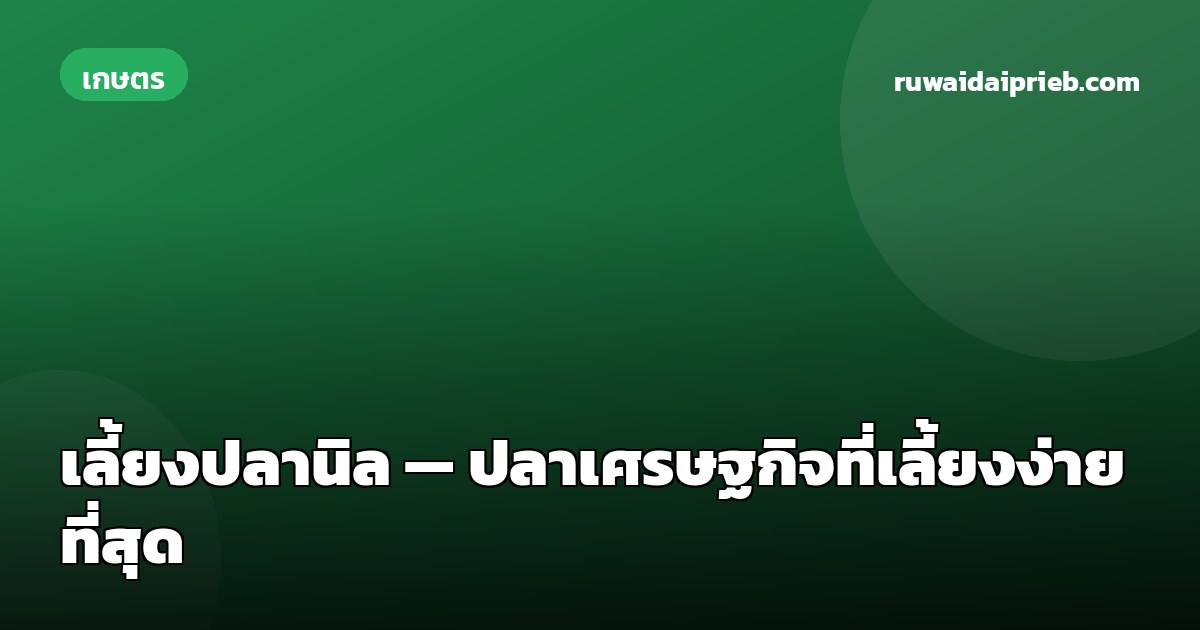 เลี้ยงปลานิล — ปลาเศรษฐกิจที่เลี้ยงง่ายที่สุด