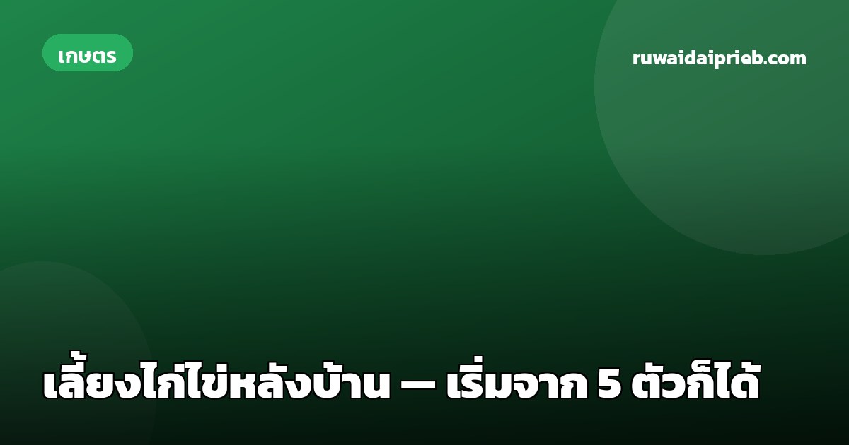 เลี้ยงไก่ไข่หลังบ้าน — เริ่มจาก 5 ตัวก็ได้
