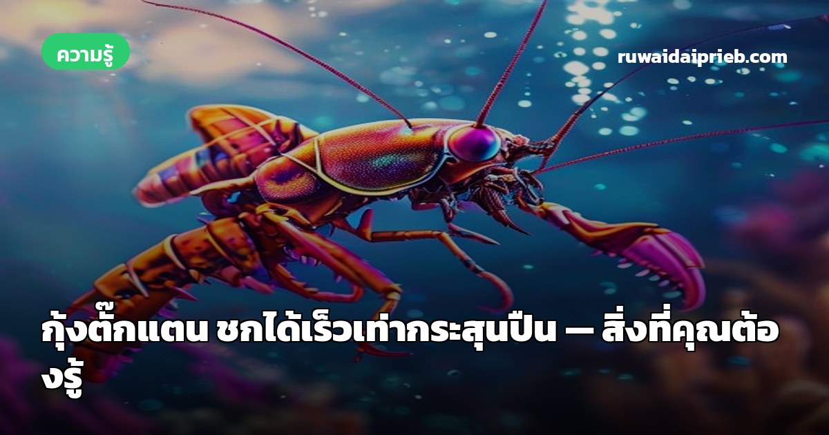 กุ้งตั๊กแตน ชกได้เร็วเท่ากระสุนปืน — สิ่งที่คุณต้องรู้