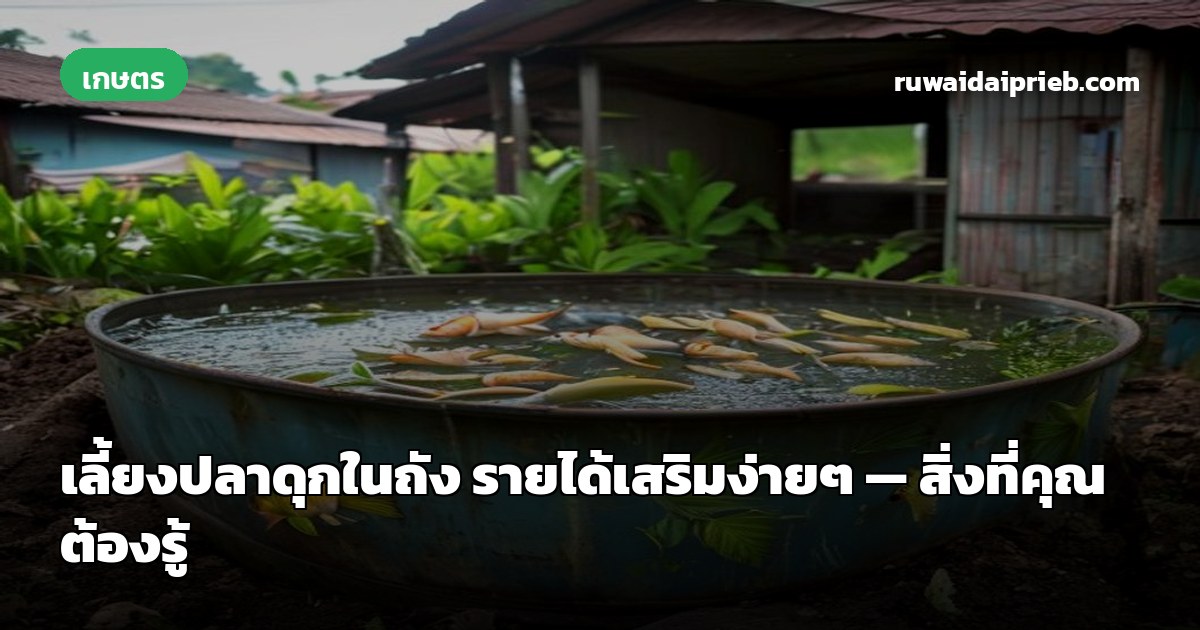 เลี้ยงปลาดุกในถัง รายได้เสริมง่ายๆ — สิ่งที่คุณต้องรู้