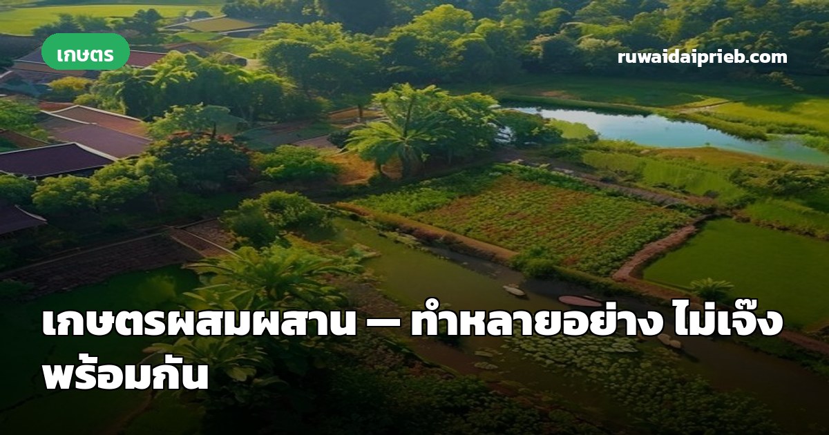 เกษตรผสมผสาน — ทำหลายอย่าง ไม่เจ๊งพร้อมกัน