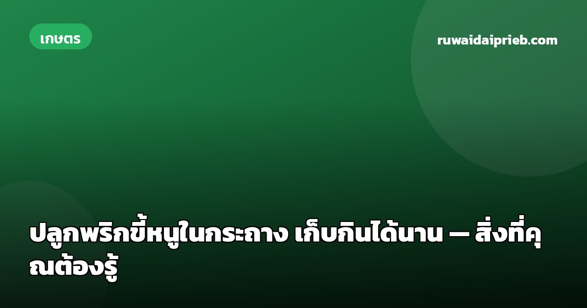 ปลูกพริกขี้หนูในกระถาง เก็บกินได้นาน — สิ่งที่คุณต้องรู้