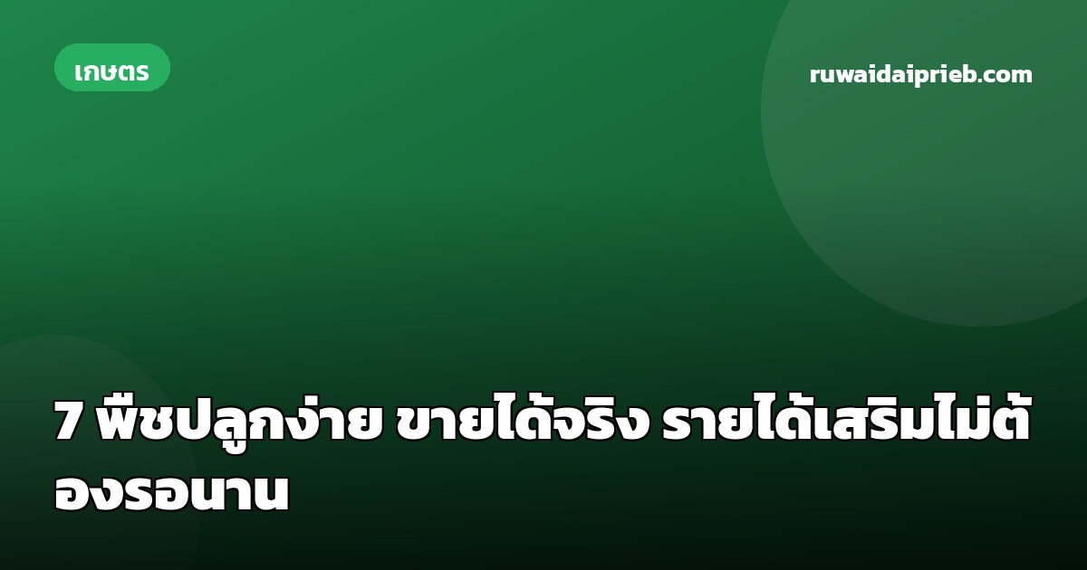 7 พืชปลูกง่าย ขายได้จริง รายได้เสริมไม่ต้องรอนาน