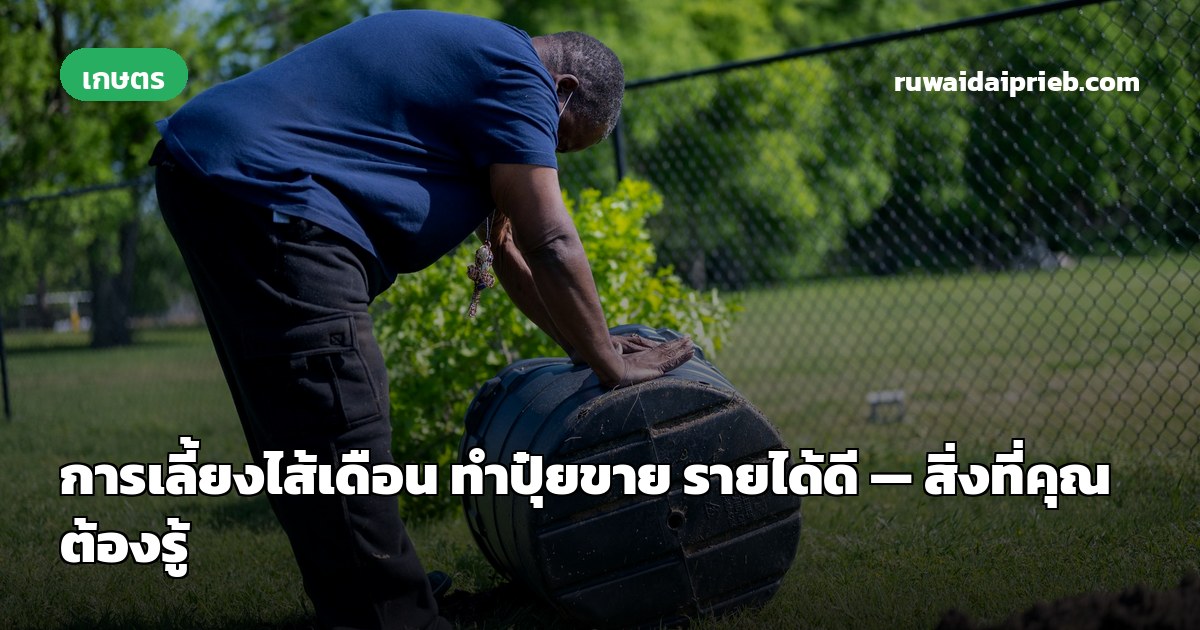 การเลี้ยงไส้เดือน ทำปุ๋ยขาย รายได้ดี — สิ่งที่คุณต้องรู้