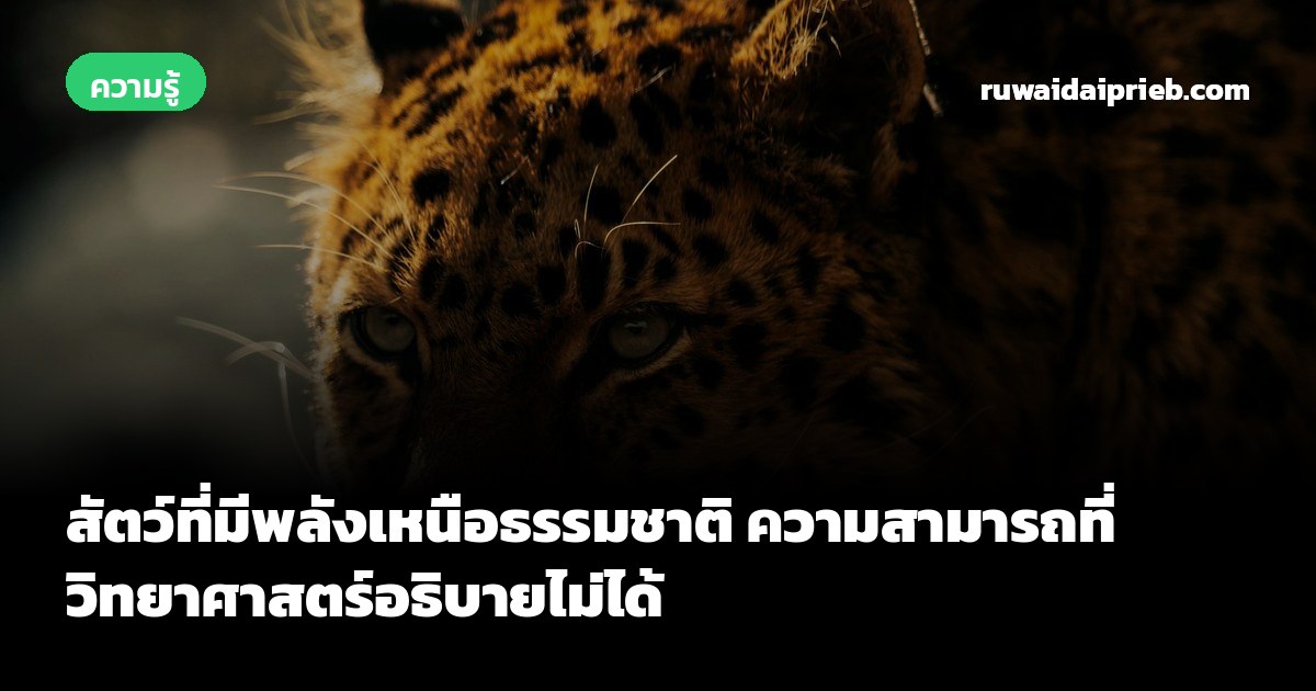 สัตว์ที่มีพลังเหนือธรรมชาติ ความสามารถที่วิทยาศาสตร์อธิบายไม่ได้
