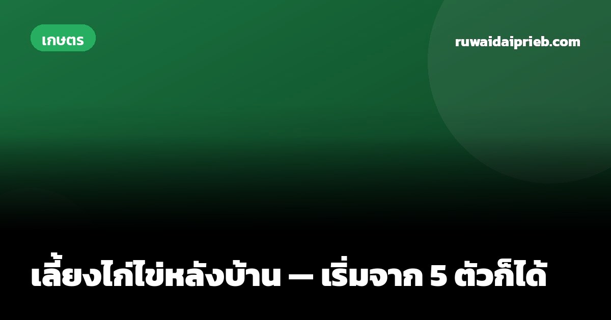 เลี้ยงไก่ไข่หลังบ้าน — เริ่มจาก 5 ตัวก็ได้