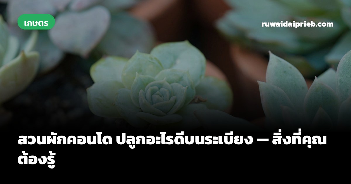 สวนผักคอนโด ปลูกอะไรดีบนระเบียง — สิ่งที่คุณต้องรู้