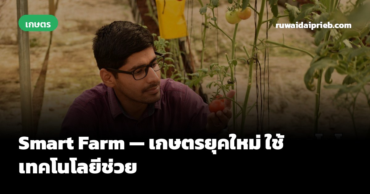 Smart Farm — เกษตรยุคใหม่ ใช้เทคโนโลยีช่วย