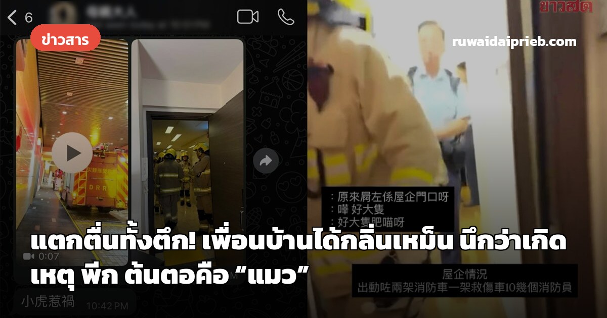 แตกตื่นทั้งตึก! เพื่อนบ้านได้กลิ่นเหม็น นึกว่าเกิดเหตุ พีก ต้นตอคือ “แมว”