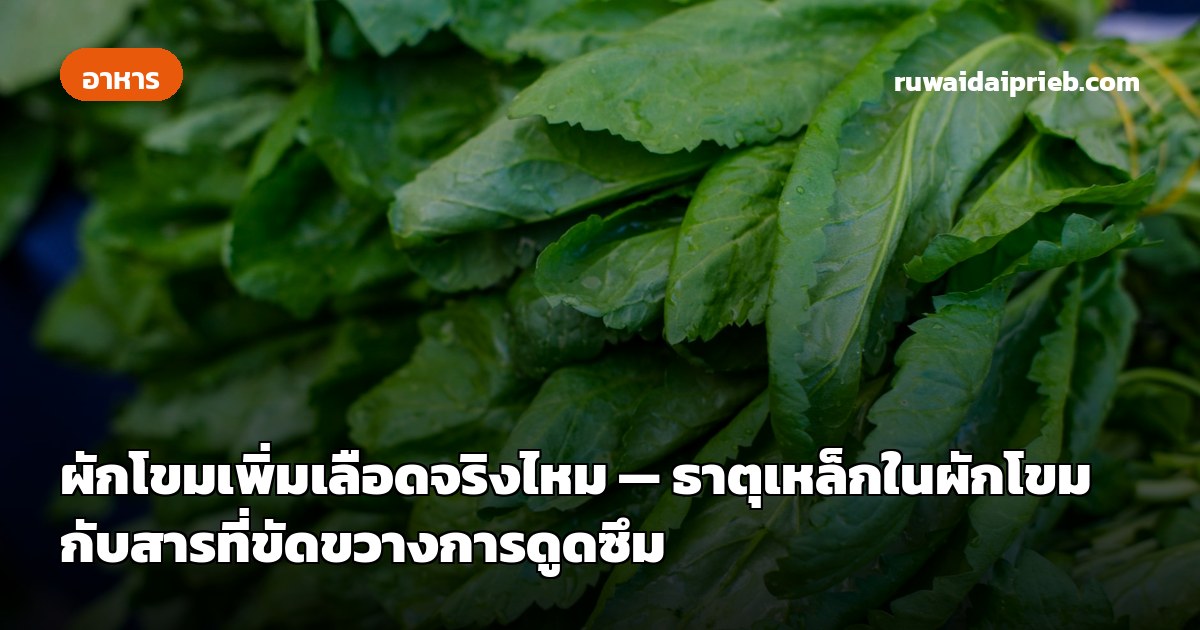 ผักโขมเพิ่มเลือดจริงไหม — ธาตุเหล็กในผักโขมกับสารที่ขัดขวางการดูดซึม