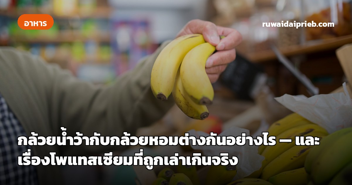 กล้วยน้ำว้ากับกล้วยหอมต่างกันอย่างไร — และเรื่องโพแทสเซียมที่ถูกเล่าเกินจริง