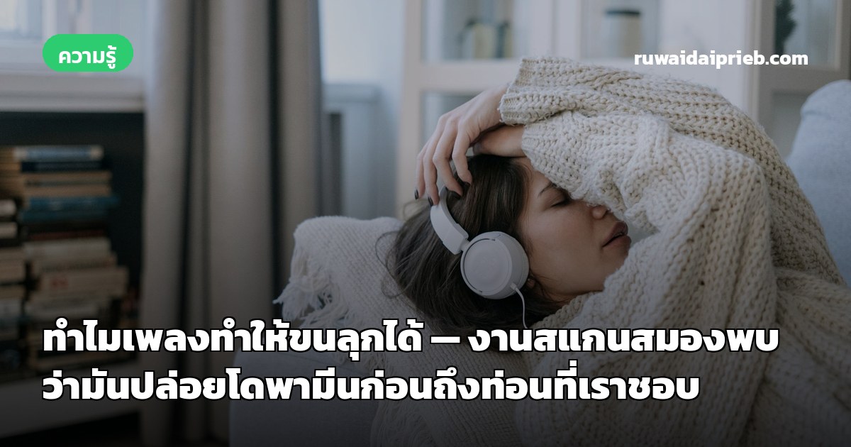 ทำไมเพลงทำให้ขนลุกได้ — งานสแกนสมองพบว่ามันปล่อยโดพามีนก่อนถึงท่อนที่เราชอบ