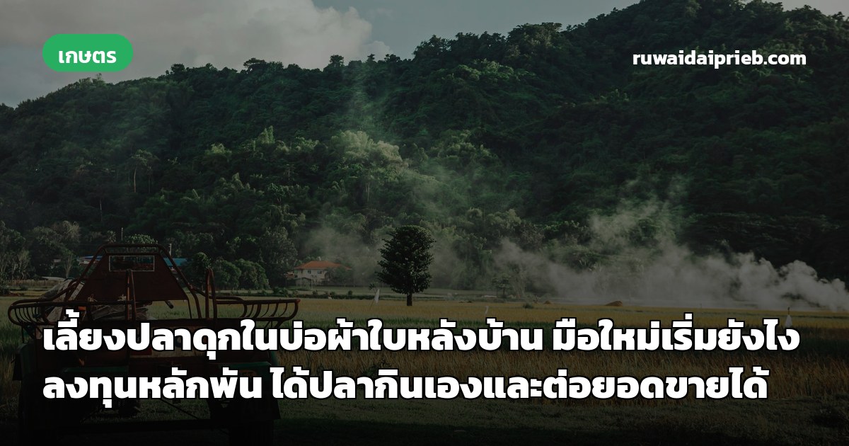 เลี้ยงปลาดุกในบ่อผ้าใบหลังบ้าน มือใหม่เริ่มยังไง ลงทุนหลักพัน ได้ปลากินเองและต่อยอดขายได้
