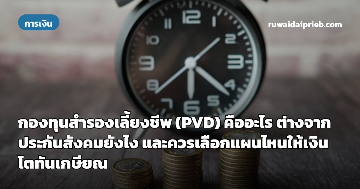 กองทุนสำรองเลี้ยงชีพ (PVD) คืออะไร ต่างจากประกันสังคมยังไง และควรเลือกแผนไหนให้เงินโตทันเกษียณ