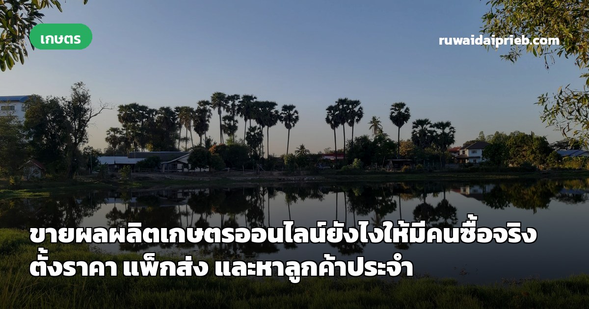 ขายผลผลิตเกษตรออนไลน์ยังไงให้มีคนซื้อจริง ตั้งราคา แพ็กส่ง และหาลูกค้าประจำ