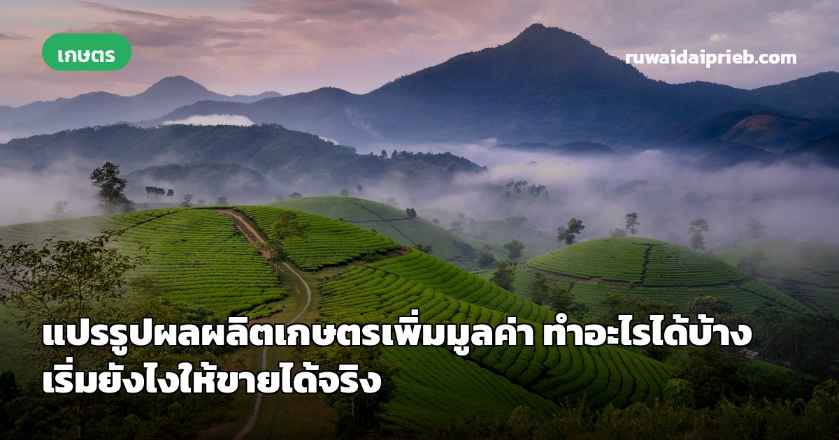 แปรรูปผลผลิตเกษตรเพิ่มมูลค่า ทำอะไรได้บ้าง เริ่มยังไงให้ขายได้จริง