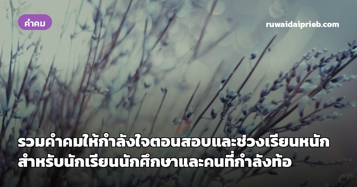 รวมคำคมให้กำลังใจตอนสอบและช่วงเรียนหนัก สำหรับนักเรียนนักศึกษาและคนที่กำลังท้อ
