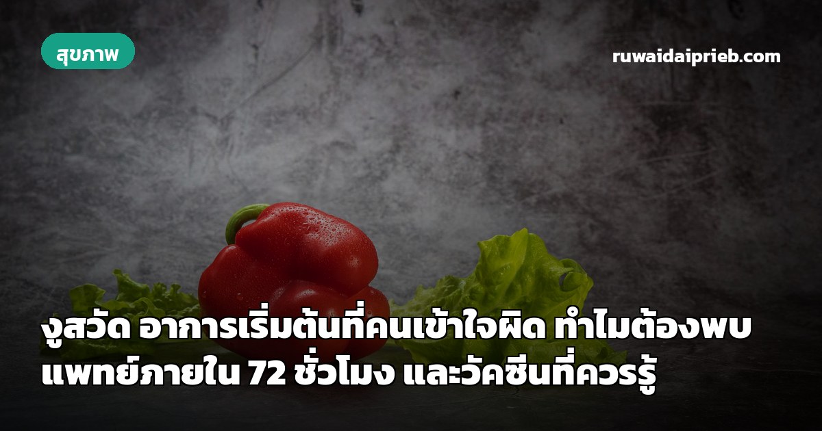 งูสวัด อาการเริ่มต้นที่คนเข้าใจผิด ทำไมต้องพบแพทย์ภายใน 72 ชั่วโมง และวัคซีนที่ควรรู้